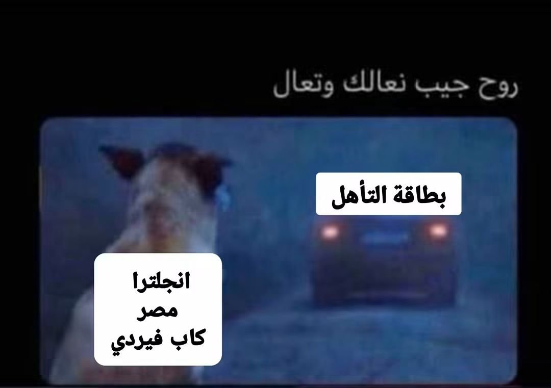 بيبو tweet media