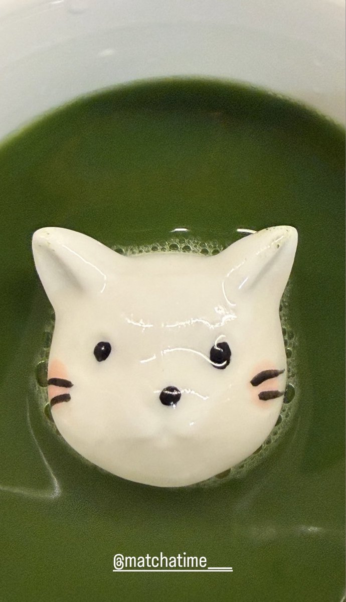 Build_FamilyFC's tweet photo. IGs update [16072026]  🍵🐱🍃

#BuildJakapan @JakeB4rever 
#Beyourluve https://t.co/NVeUaWrWJz