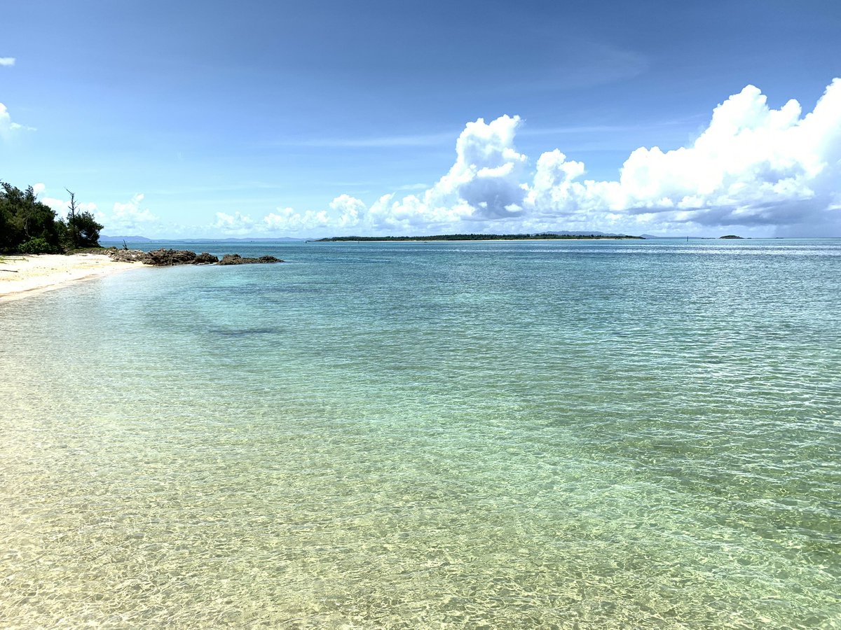 OkinawaHelp's tweet photo. 👋 Hello!

Welcome to Okinawa Concierge 🇯🇵

We help foreigners in Okinawa with:

✅ Restaurant reservations
✅ Phone calls in Japanese
✅ Hotel assistance

Feel free to send us a message anytime! https://t.co/HieBclSzPH