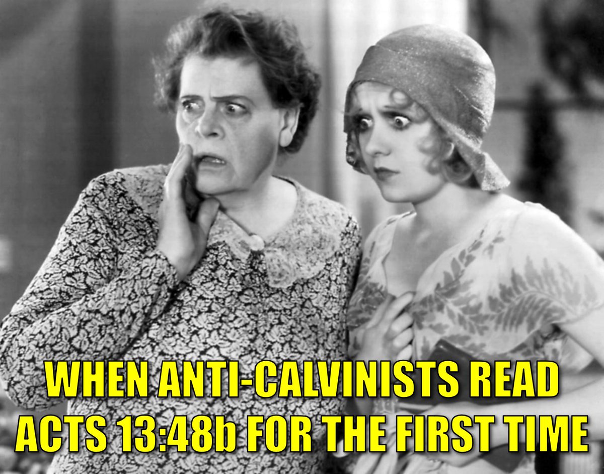 Ron Henzel, Emotional Support Calvinist ☕ tweet media