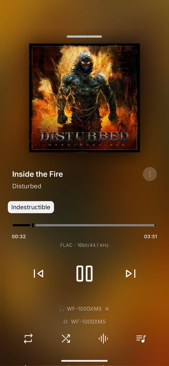 t0r1beam's tweet photo. 出勤→テレワークへ切替中
外歩いてて背中が焼けるように熱くて今これ

Disturbed - Inside the Fire
💿 Indestructible

#NowPlaying
#HeavyMetal https://t.co/Ri82vFYOyc