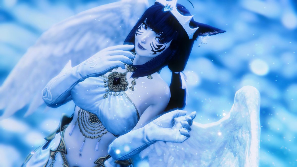 Aqua, The Cute Cat Girl tweet media