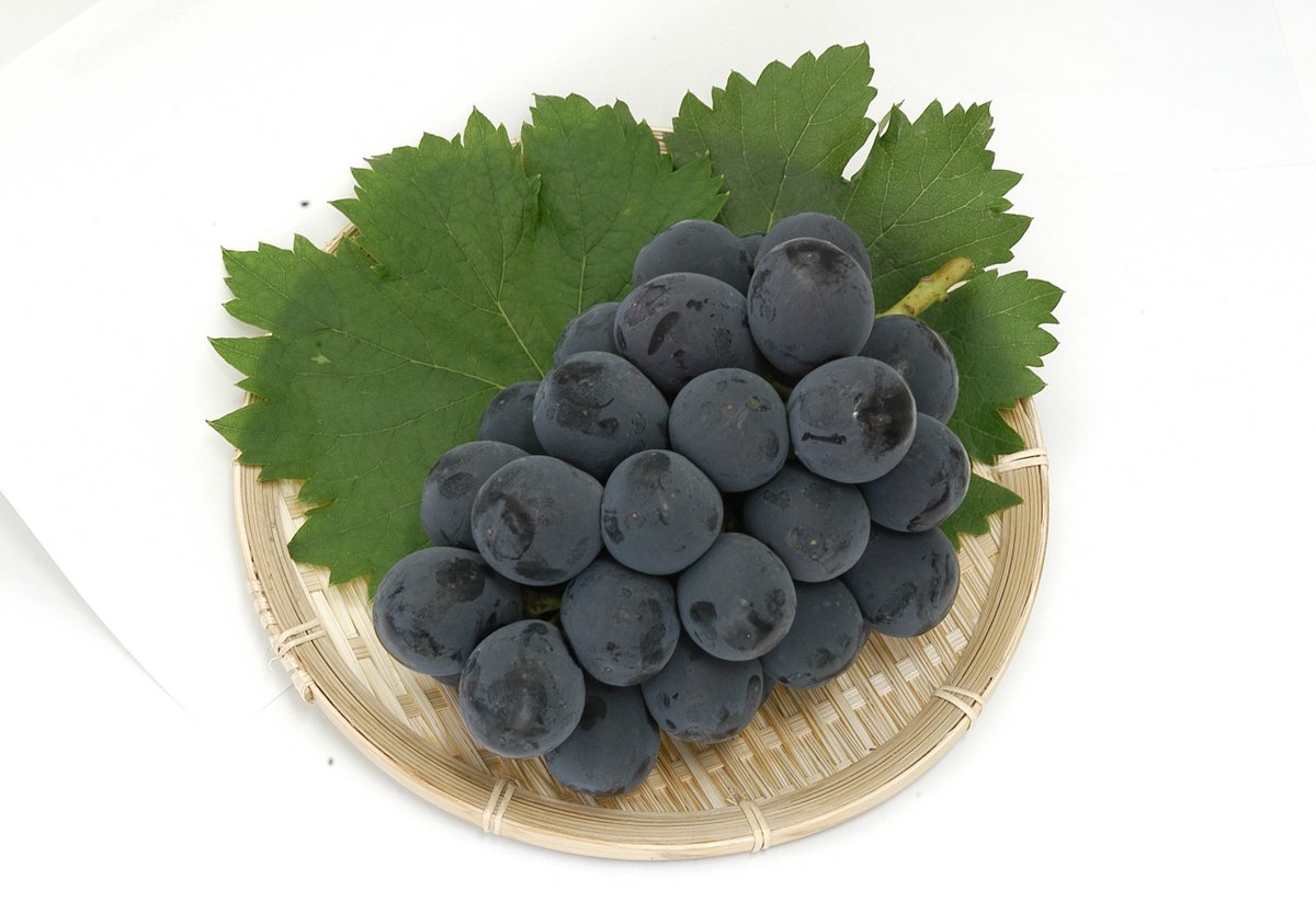 ritsurinan's tweet photo. *
ピオーネ＆桃フェアを開催します！

糖度などの一定の品質基準を満たし、県で認定した生産者が大切に育てた「さぬき讃フルーツ」。
その中でも、今、旬を迎えたピオーネと桃のPR試食販売を、開催します。
当日は、さぬき讃フルーツPRのため、「さぬき讃サンはなやか（花野果）大使」が来店します！ https://t.co/nAjyjeoGSt