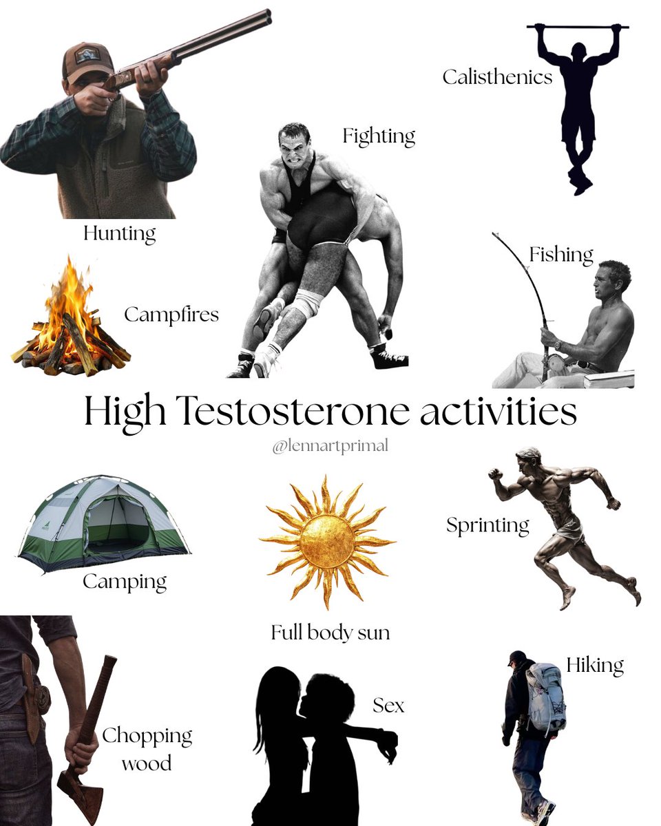 Mahmudkist's tweet photo. High Testosterone Activities. https://t.co/GQ7NAOgK7Z
