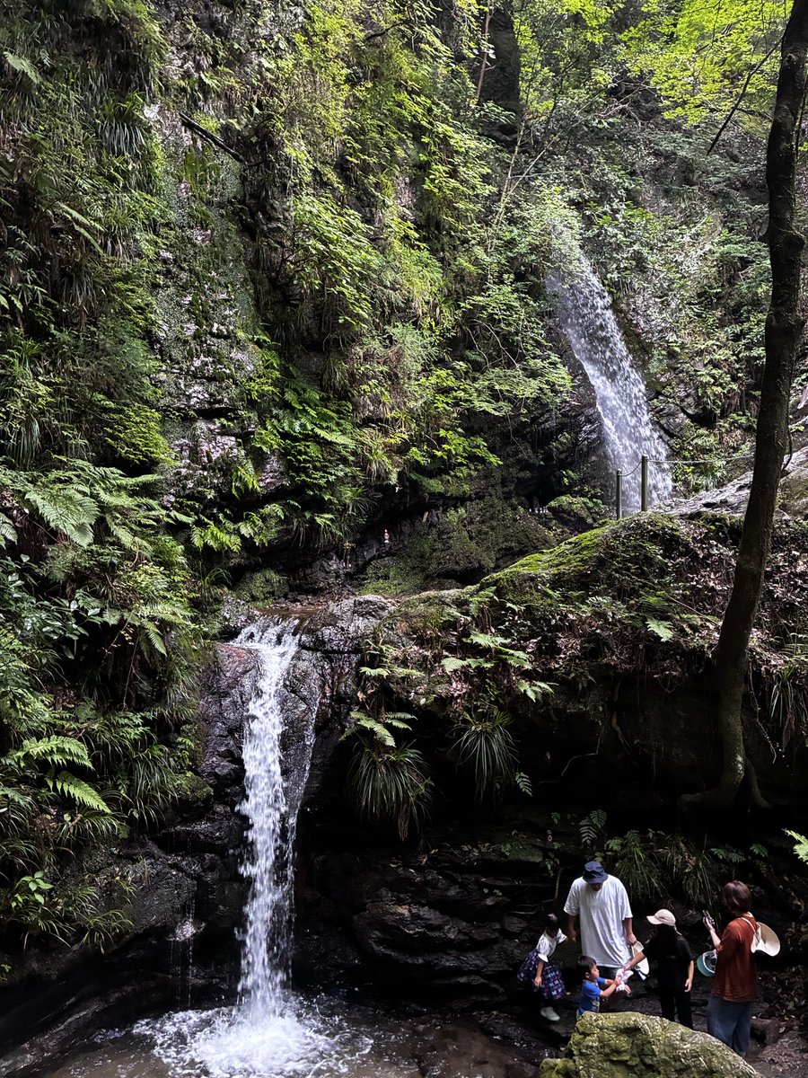szkhajime's tweet photo. 2026夏休み第二弾
黒山三滝へ
東京から車で約1時間。
滝の飛沫で外気温が10度は下がってる印象。
ずっとここにいたい。

鮎やイワナの塩焼きが食べたかったけど、お店が設備点検のため臨時休業でタイミング悪かった。 https://t.co/Ndor5MQ4XS