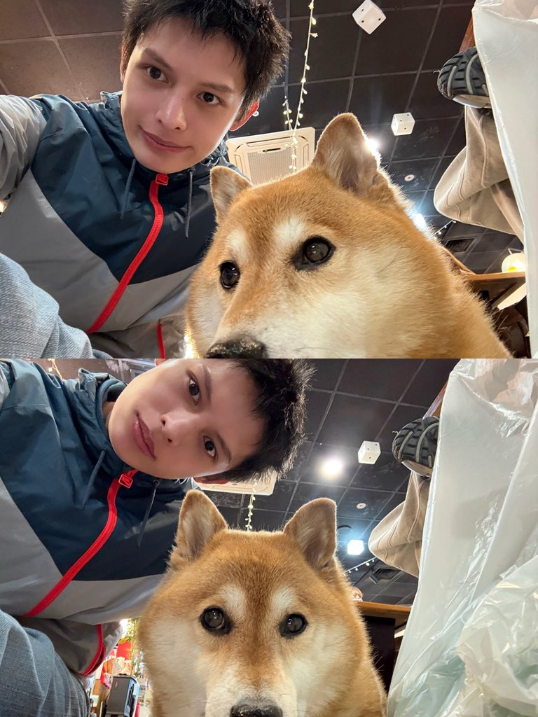 joyridecore's tweet photo. ᓚ₍ ^. .^₎ ♡ https://t.co/zoUTw3qYzY