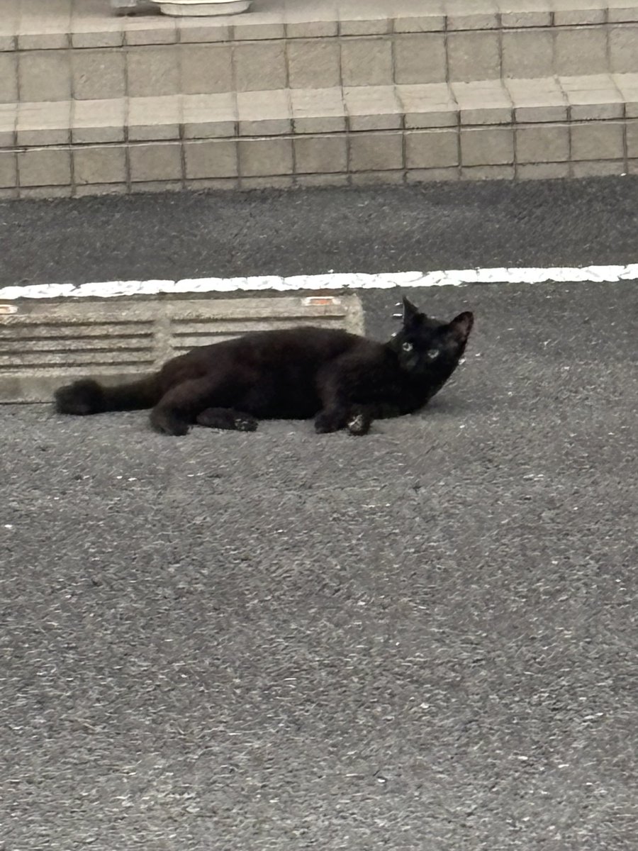 jwajf's tweet photo. 暑そう🥵 https://t.co/VNU9QUXg2r