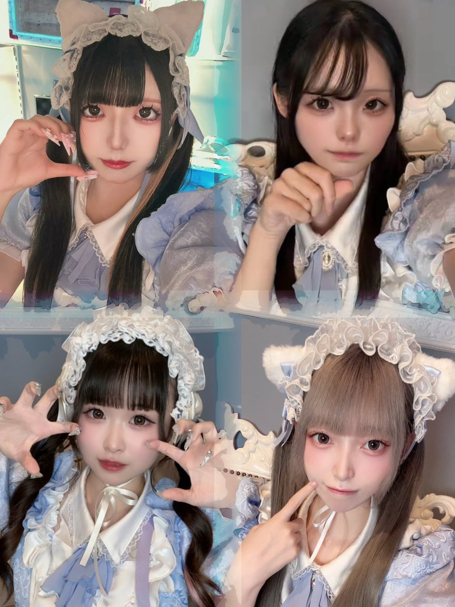 minettecafe's tweet photo. 今日のにゃんこ達🐾

16日
ねお      @nneoz_z 
しか      @shika_minette 
にゃん  @nyan__mnt_ 
くいな  @lxinq_c 

お待ちしております🐈

#富山コンカフェ #コンカフェ #コンカフェ嬢 https://t.co/f9fPAwT5oK
