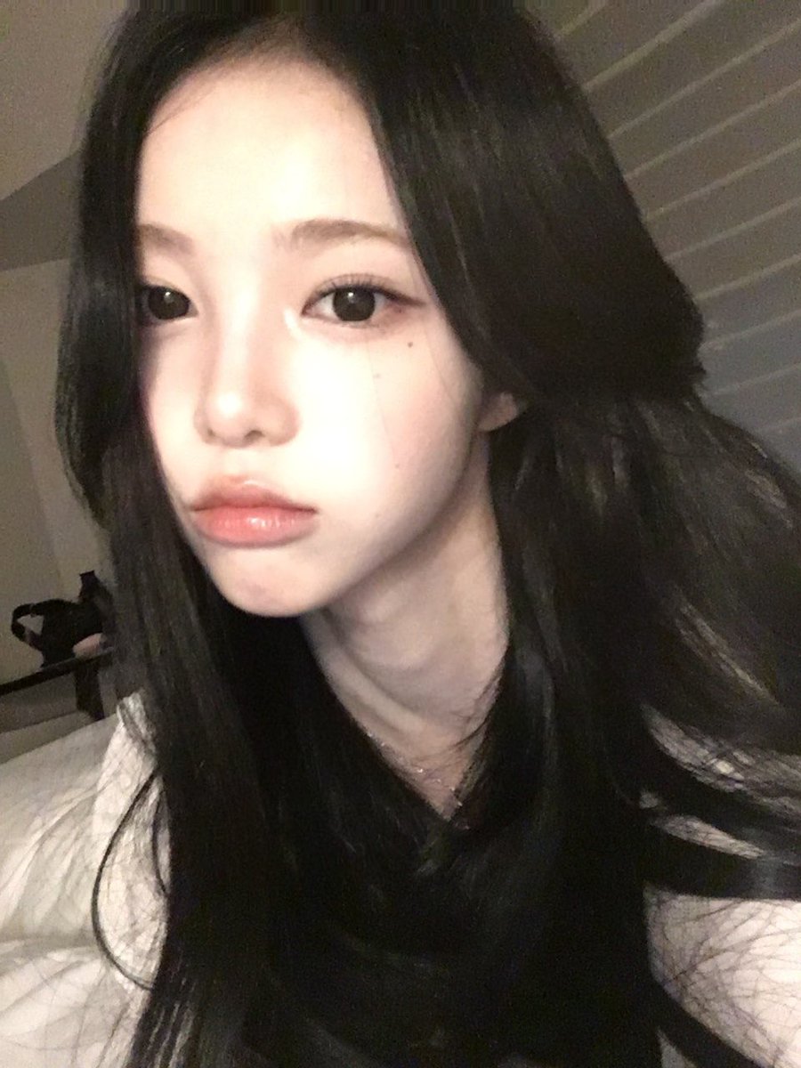개마니 tweet media