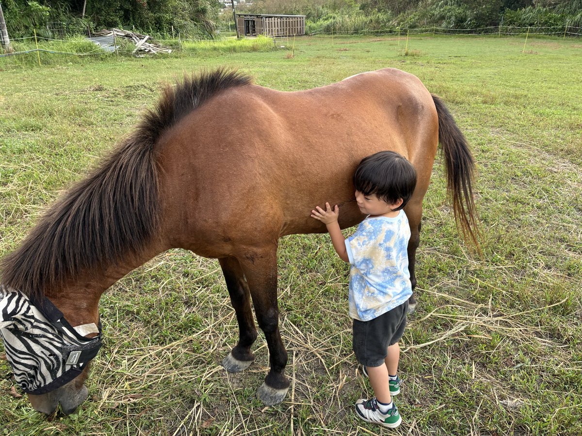 umikazehf's tweet photo. ごはん中のユウナとふれあうスタッフ息子

いろいろ触られているけど特に気にせずモグモグタイムのユウナ😋

ハエよけのためのフライマスクを不思議そうに覗きこんでいます😊
ブラシがけをしたりお腹に顔をつけてお腹の音を聞いたり面白いね😄 https://t.co/fBch1uG9Oq