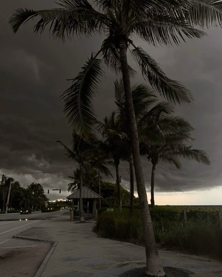 spooky_nature's tweet photo. just a bad weather that heals me everytime https://t.co/QeBPee7qnV