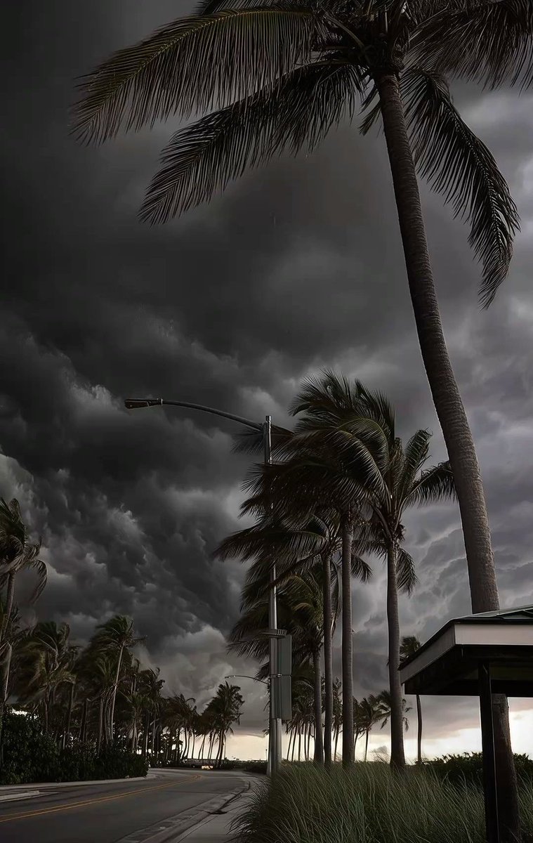 spooky_nature's tweet photo. just a bad weather that heals me everytime https://t.co/QeBPee7qnV