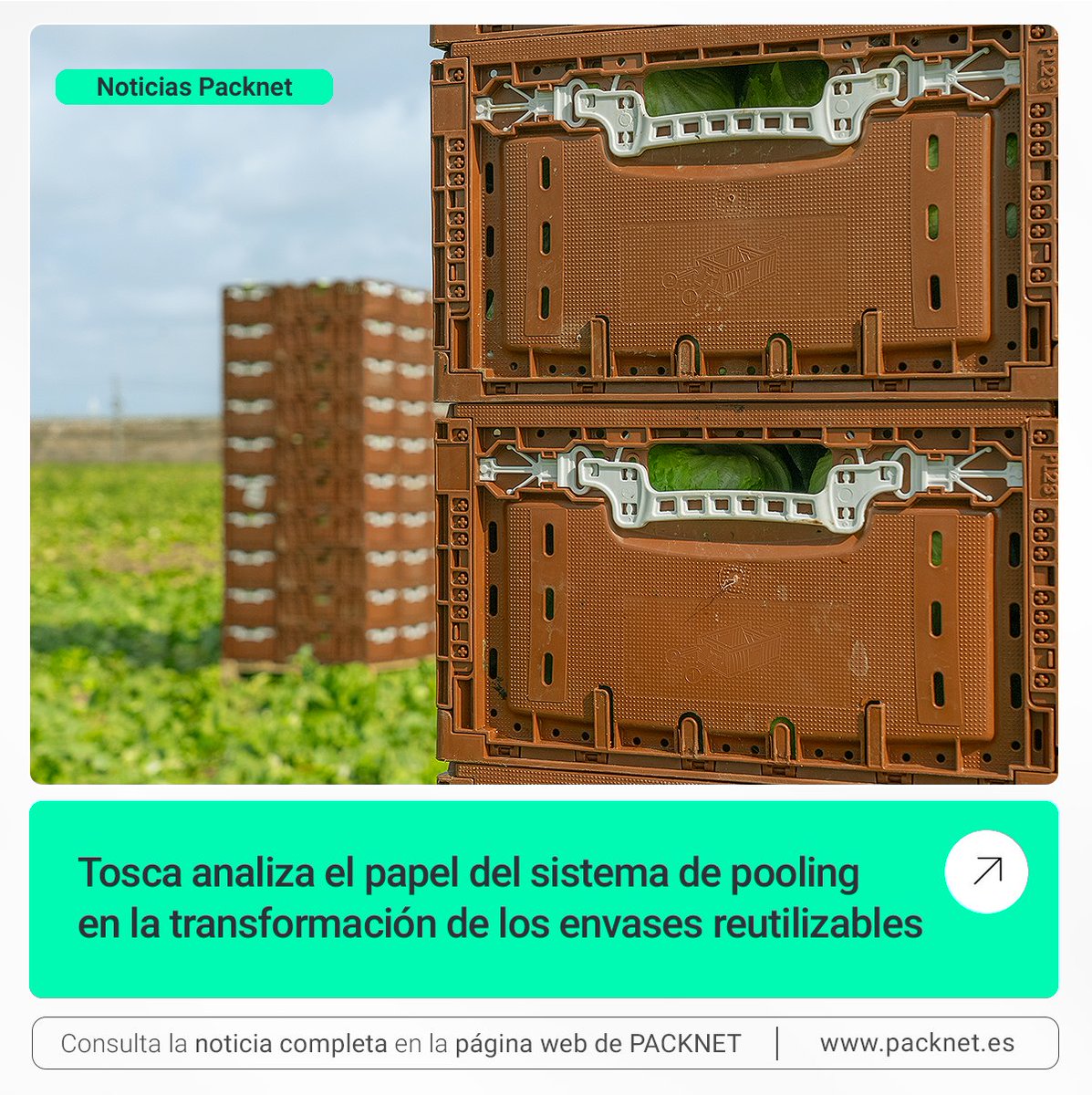 Packnet tweet media