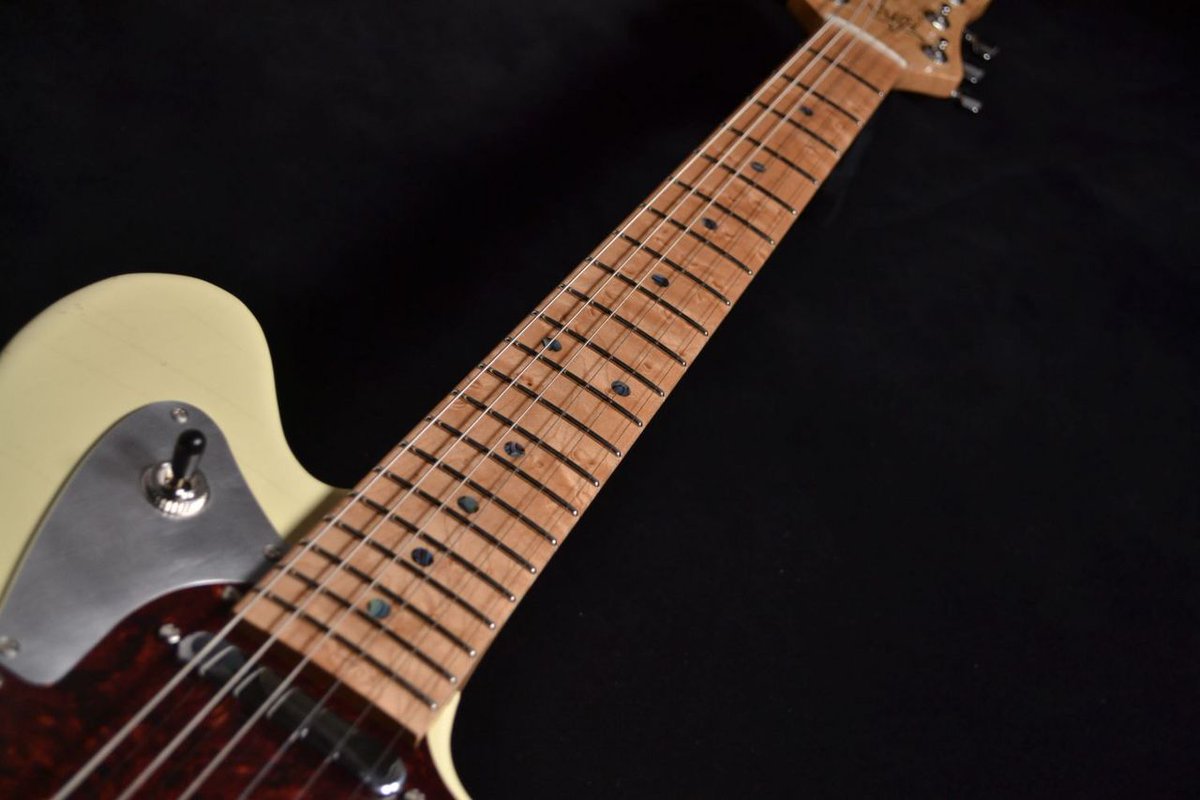 New Arrival | Sugi 『DS499TTM/SL-ASH/BEM』 「タイムレスティンバー