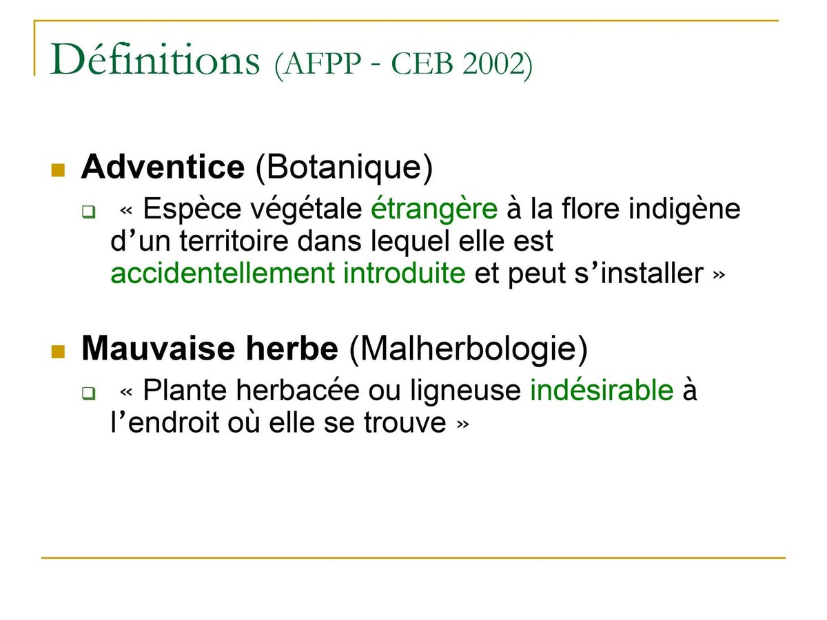 MXV339's tweet photo. J'entends beaucoup de gens prononcer #adventice à l'anglaise façon "Adventure".
Et toi ? 🤔
En liégeois ca donne un truc genre advhaantiss' 🤪 https://t.co/LfZuMgFelJ