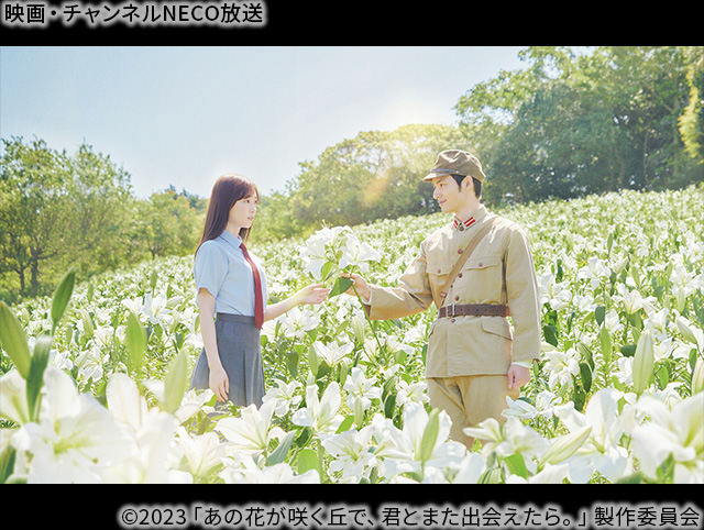 chneco's tweet photo. ／  
映画『あの星が降る丘で、君とまた出会いたい。』8/7㊎公開記念！✨
前作『あの花が咲く丘で、君とまた出会えたら。』の放送が決定！🌸
＼

主演の #福原遥 さん からコメントが届きました！

#映画あの花 は、8/7㊎ 21:00より放送！  
https://t.co/u1zDTuqlKL

お楽しみに！    

#映画あの星 https://t.co/mc3PTilKqM
