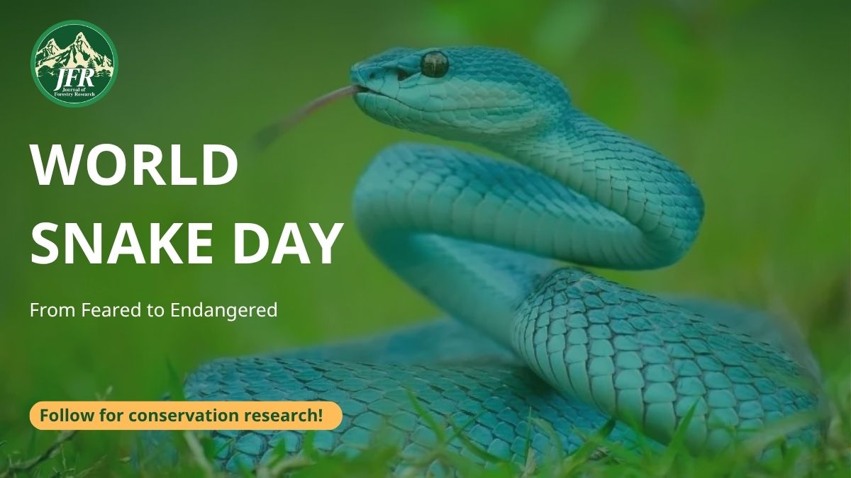RelayJFR's tweet photo. 🐍Snakes can tell us a lot about the health of an ecosystem. 
On #WorldSnakeDay, JFR highlights how changes in snake populations can reflect broader changes in forest biodiversity and environmental quality.
📖 Explore the research: https://t.co/2fRAHvCKNA

#JFR #ForestryResearch https://t.co/elKlzTb20h