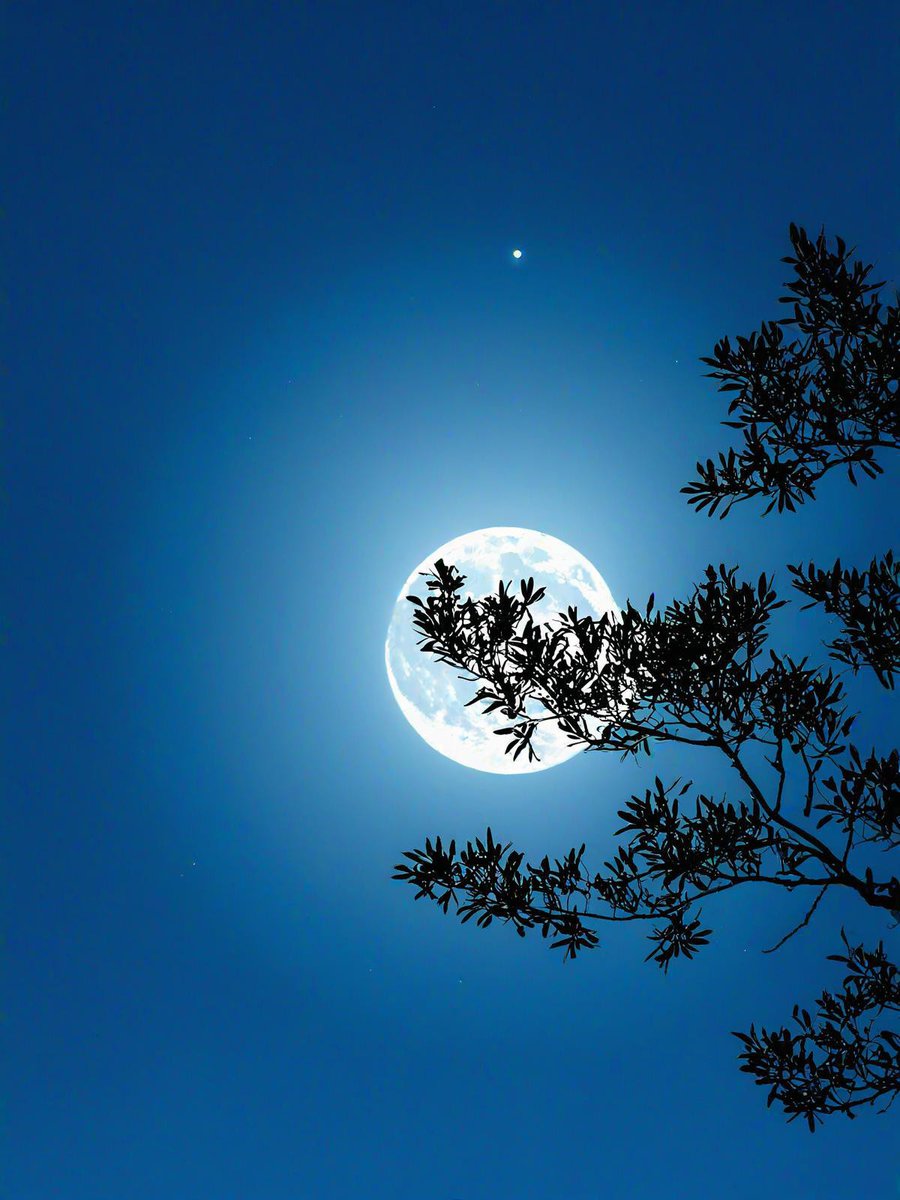 odelia70865's tweet photo. Staring at the same moon above the city miles away—this little glow’s my tiny bridge between us https://t.co/kiY24i95Si