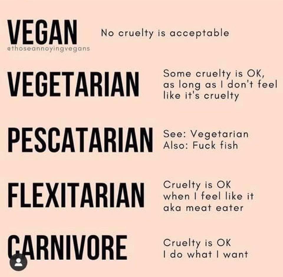 PieterseMarc's tweet photo. Cruelty is NEVER OK https://t.co/lW9xAzklQj