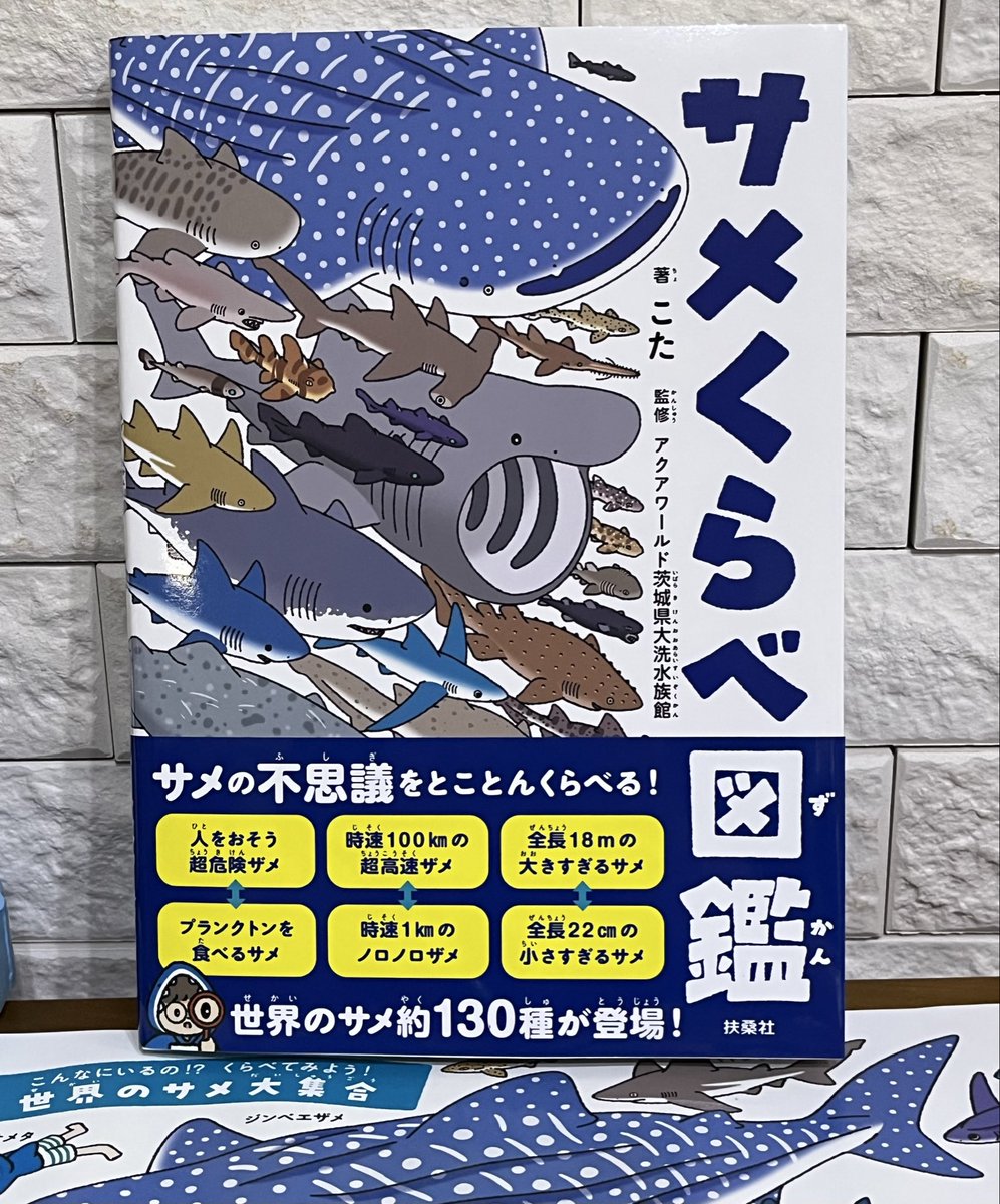 サメくらべ図鑑』 こた 先生 扶桑社 芳林堂書店高田馬場店さんにサイン