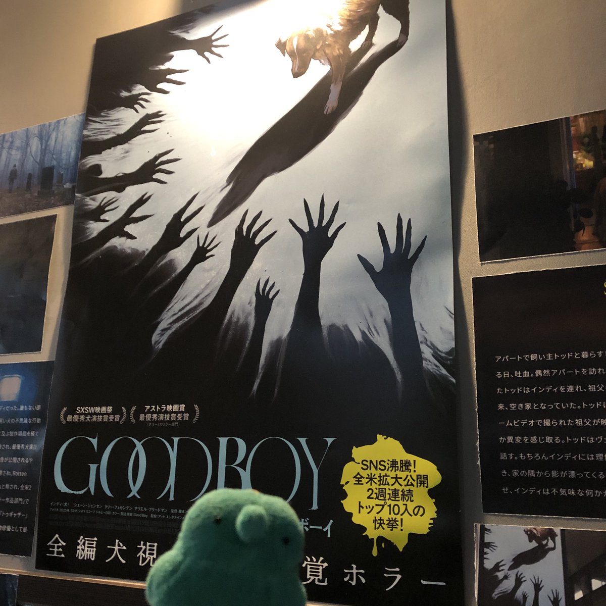 kuma_doo's tweet photo. 映画よかったね https://t.co/J0lCRlyyF8