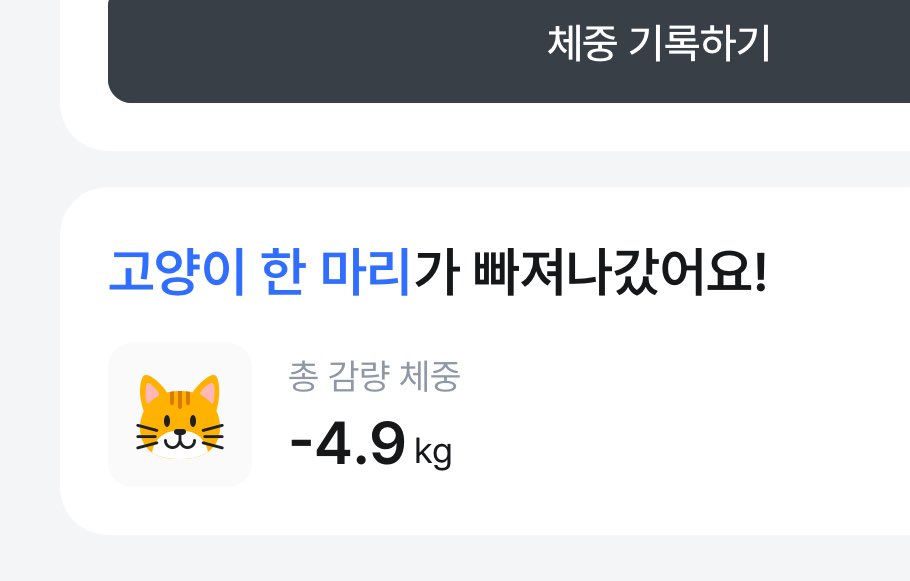 슈니 tweet media