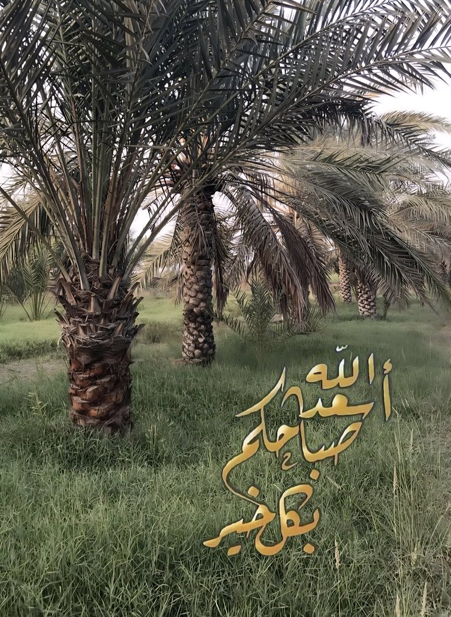 abohoor911's tweet photo. #صباح_الخير

#صباح_الخير_والسعادة https://t.co/NRWtw7p9B1