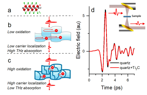 YGogotsi's tweet photo. Glad to co-author my first paper "Terahertz Spectroscopy of Intrinsic and Photoexcited Carrier Dynamics in Ti₂CTₓ MXene Film" with Lyubov Titova from @WPI.  The intrinsic free carriers in Ti₂CTₓ are strongly localized due to short-range disorder.
https://t.co/kKDiW1Kgp9 https://t.co/XbNd9r8N8F