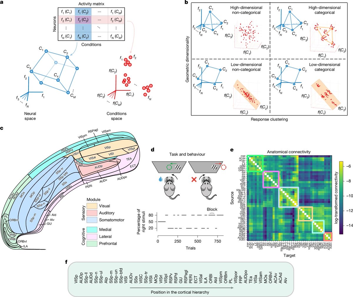 abenitezburraco's tweet photo. Neurons are mostly generalists, instead of specialized for specific functions
https://t.co/fvVFKACU5K https://t.co/1Ar6c0tmtU