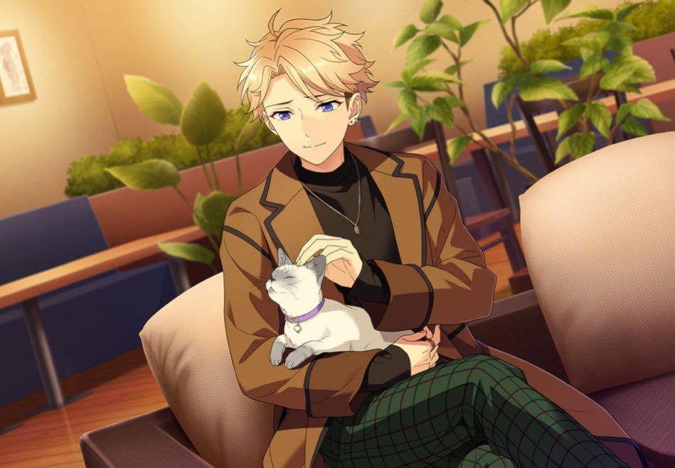 whitebread014's tweet photo. にゃんこほんま好き https://t.co/hEs9p88j2e