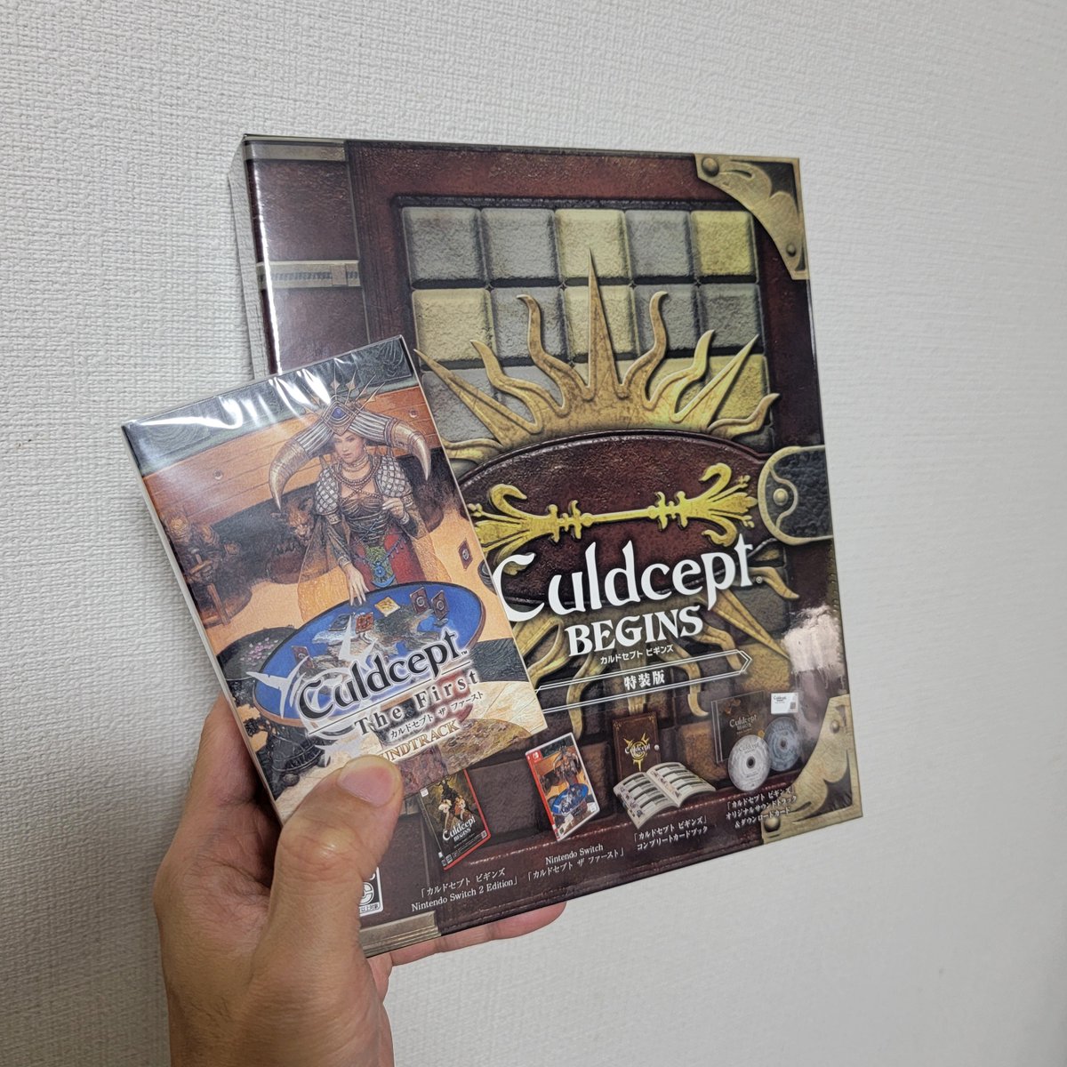 39RA1's tweet photo. カルドセプトビギンズ届いた🫡 https://t.co/cNh7ylzg85