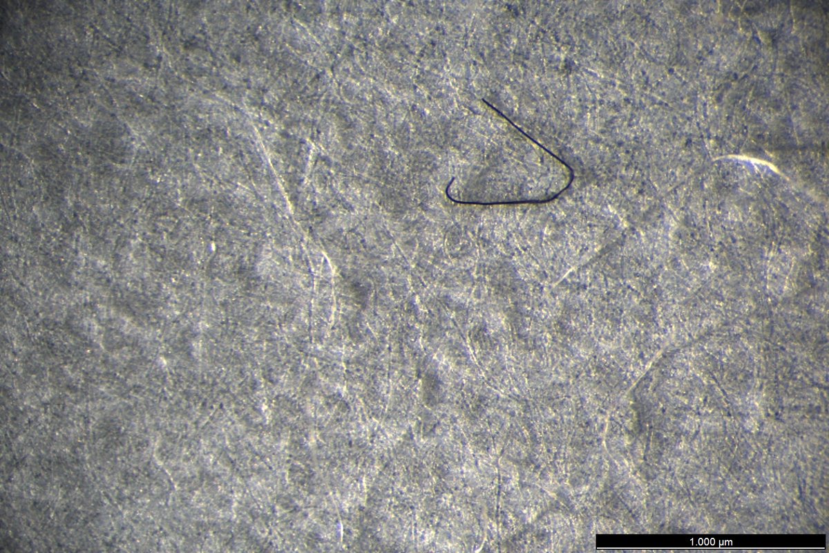 IEOoceanografia's tweet photo. 🔬Un estudio con participación de #IEO_CSIC demuestra que la pintarroja del Mediterráneo sur asimila microplásticos por ingestión y a través de las branquias

Este tiburón refuerza su valor como bioindicador de los ecosistemas

🔗https://t.co/FV6g756PC7
🔗https://t.co/gJzOvVbcun https://t.co/ppnbYJAihy