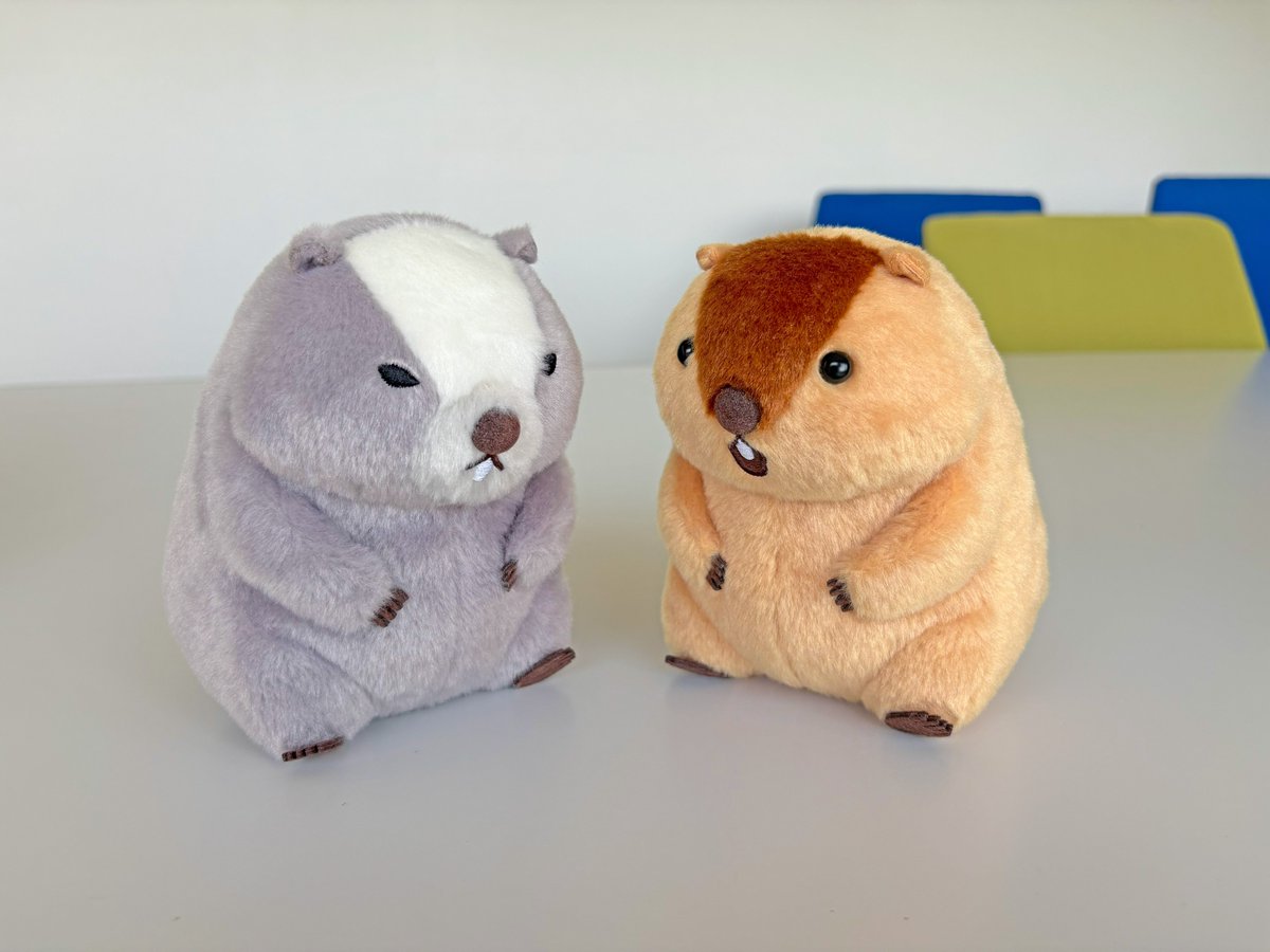 マーモットのもっとっと【公式】 (@AMUSE_marmot) / Posts / X