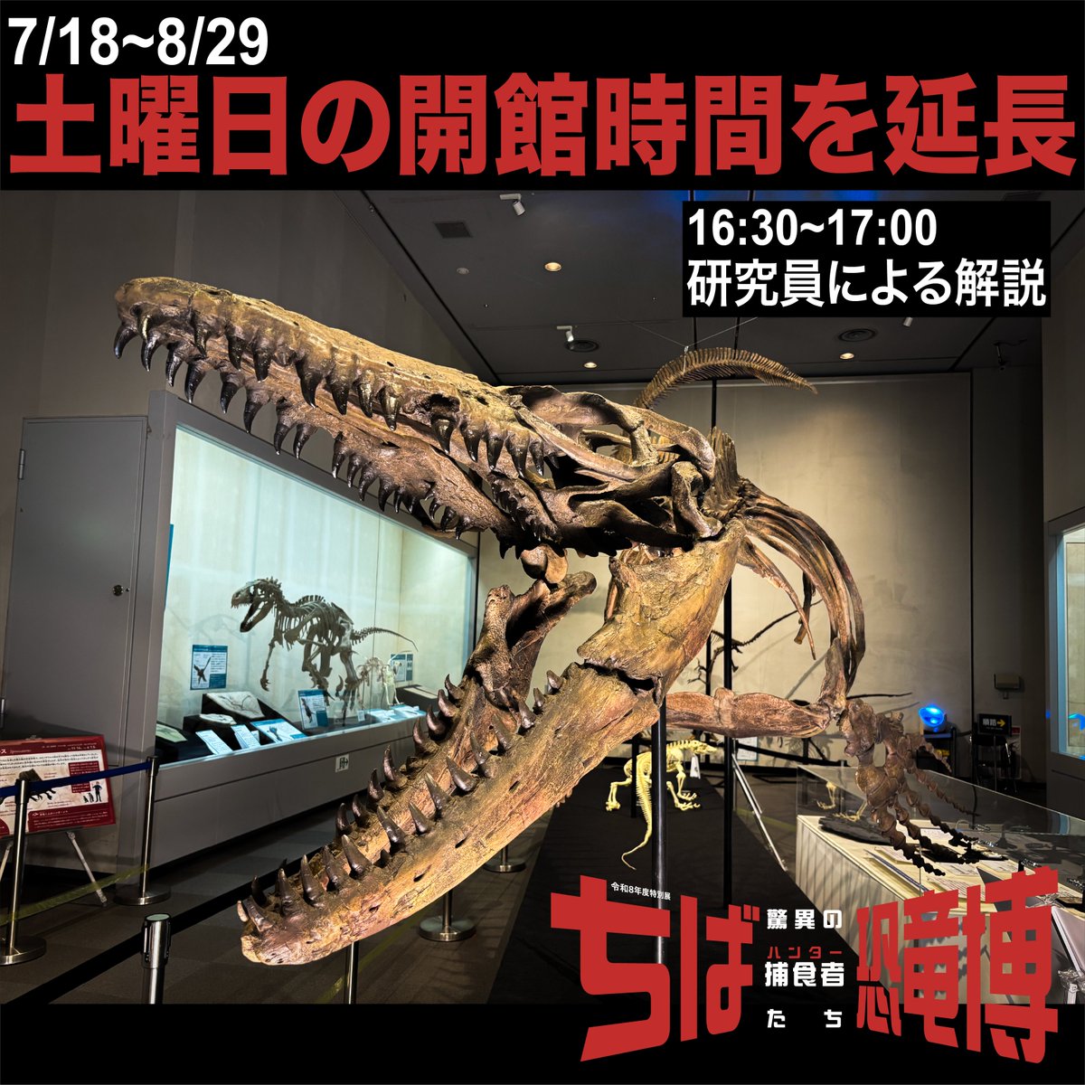 千葉県立中央博物館 tweet media