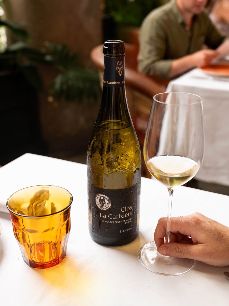 vilaviniteca's tweet photo. Domaines Landron es uno de los referentes de la región de Muscadet Sèvre et Maine (Loire). Su Clos La Carizière 2023 es un blanco elaborado con melon de bourgogne. Con notas lácticas, fruta blanca y hierba fresca en nariz y untuoso en boca. #vinodeldía https://t.co/27e1hiA6ai https://t.co/j4bQfCJQDT