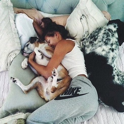joepeace25's tweet photo. A house feels empty until those happy paws come running the second you turn the key.
A loyal heart waiting at the door tail wagging, eyes bright, turning any home into heaven. πΎβ€οΈ
https://t.co/mS7aAWEE1y
#DogLover #K9Life #DogsOfX #HomeIsWhereTheDogIs https://t.co/p82VkGI5Y3