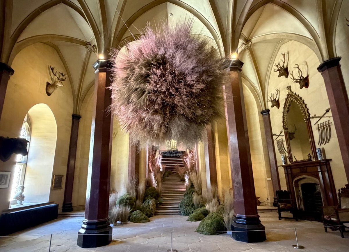 NclSparkles's tweet photo. Raby Castle has blossomed into a celebration of floral artistry this summer, filling its historic rooms with beautiful botanical installations. Here’s what to expect from this limited-time exhibition 🌸 

https://t.co/MRaUQE08fj https://t.co/lasnbTc9Yg