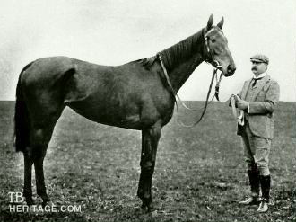 Trk_Tkc's tweet photo. SCEPTRE: İngiliz yarış tarihinde hem 2000 Guineas (Erkek Tay Deneme) hem de 1000 Guineas (Dişi Tay Deneme) yarışlarını aynı yıl kazanma başarısı gösteren en ünlü kısraklardan biridir
Ayrıca #SCEPTRE ,1902 yılında 2,000 Guineas, 1,000 Guineas, The Oaks ve St Leger koşularını kazanarak #rakipsiz bir rekora imza atmıştır.