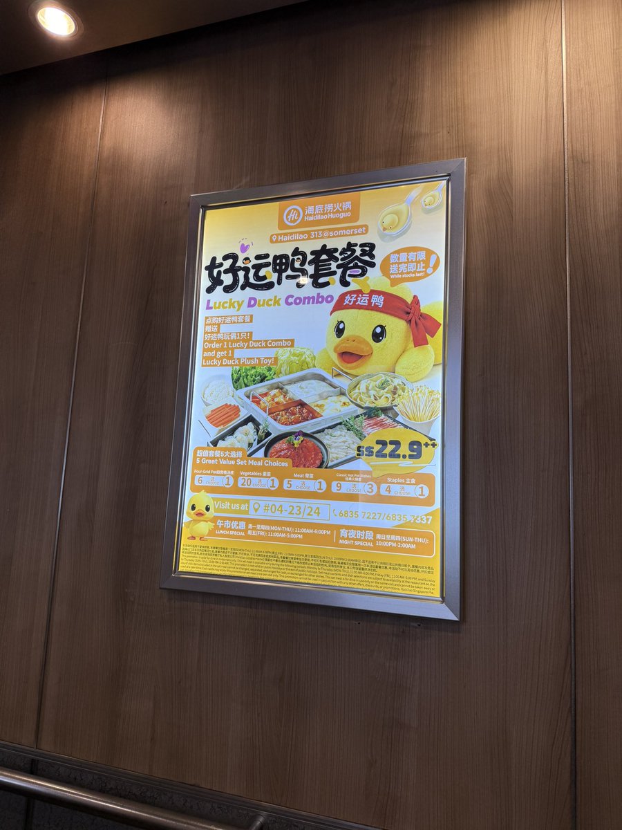 riiichant's tweet photo. 娘、このピヨちゃんが好きらしく🐥
エレベーター乗ってこのポスターがあるとめっちゃ笑顔になる🐥 https://t.co/6YBG9KHgN5