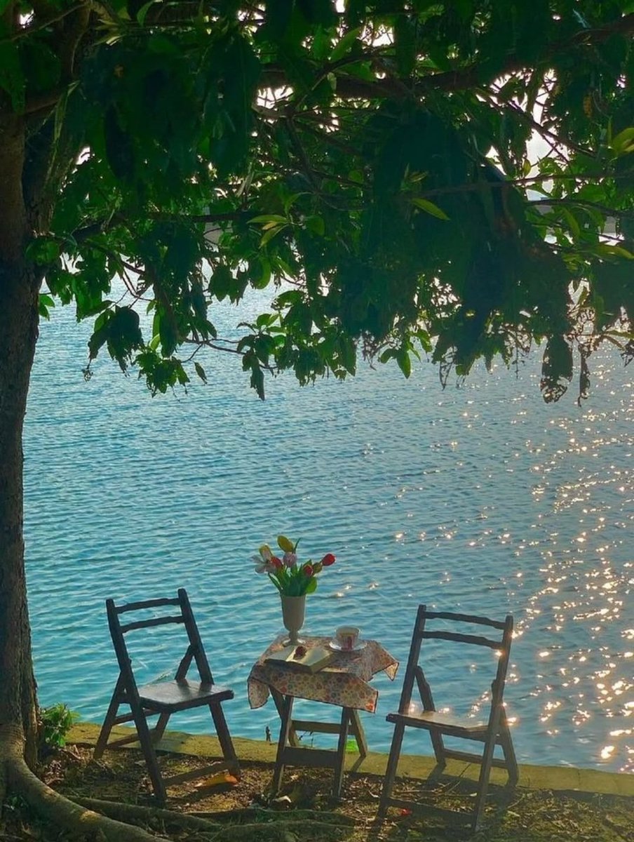Jersey28694594's tweet photo. Would you like to join me for tea amidst this unique scenery? 😊💛🤍🙋
#tea #underthetree https://t.co/2qv4YzSGr2