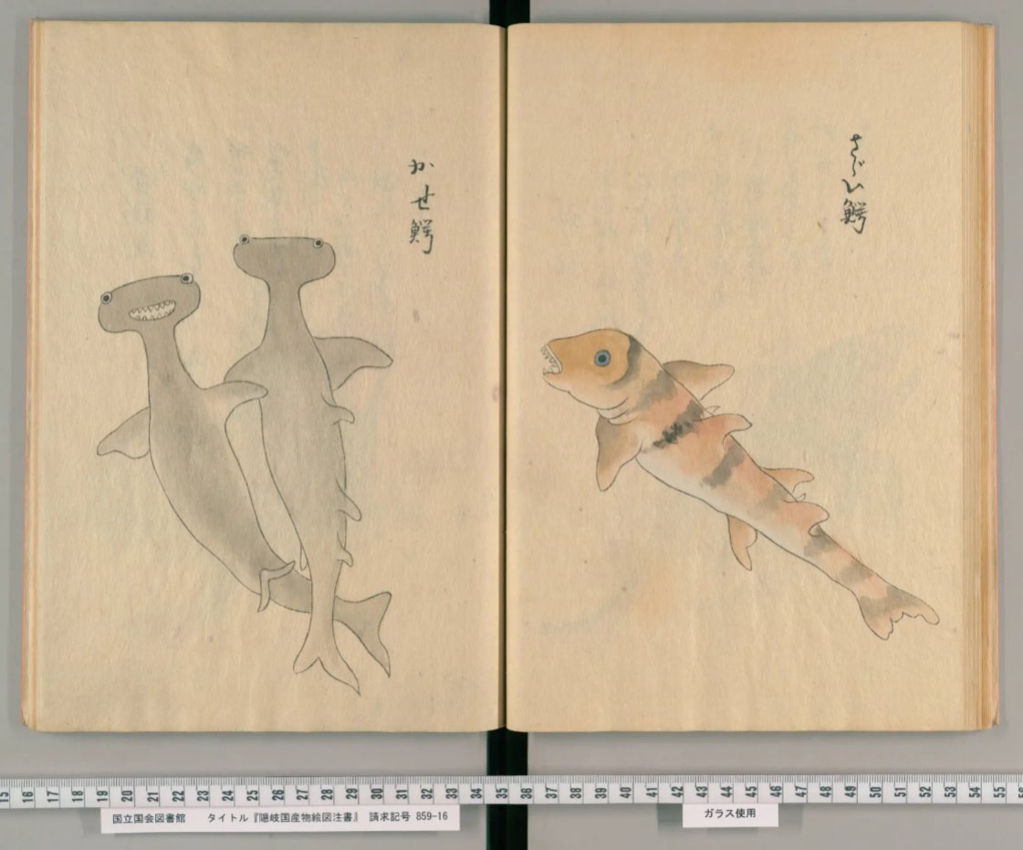 PwQn1z's tweet photo. 度々バズってる「江戸時代に描かれたゆるキャラのシュモクザメ」なんですが、載ってる本の他のページも大概ゆるい事はあまり知られていない

https://t.co/k2Z5oEiRoS https://t.co/n6kOiOW1OM
