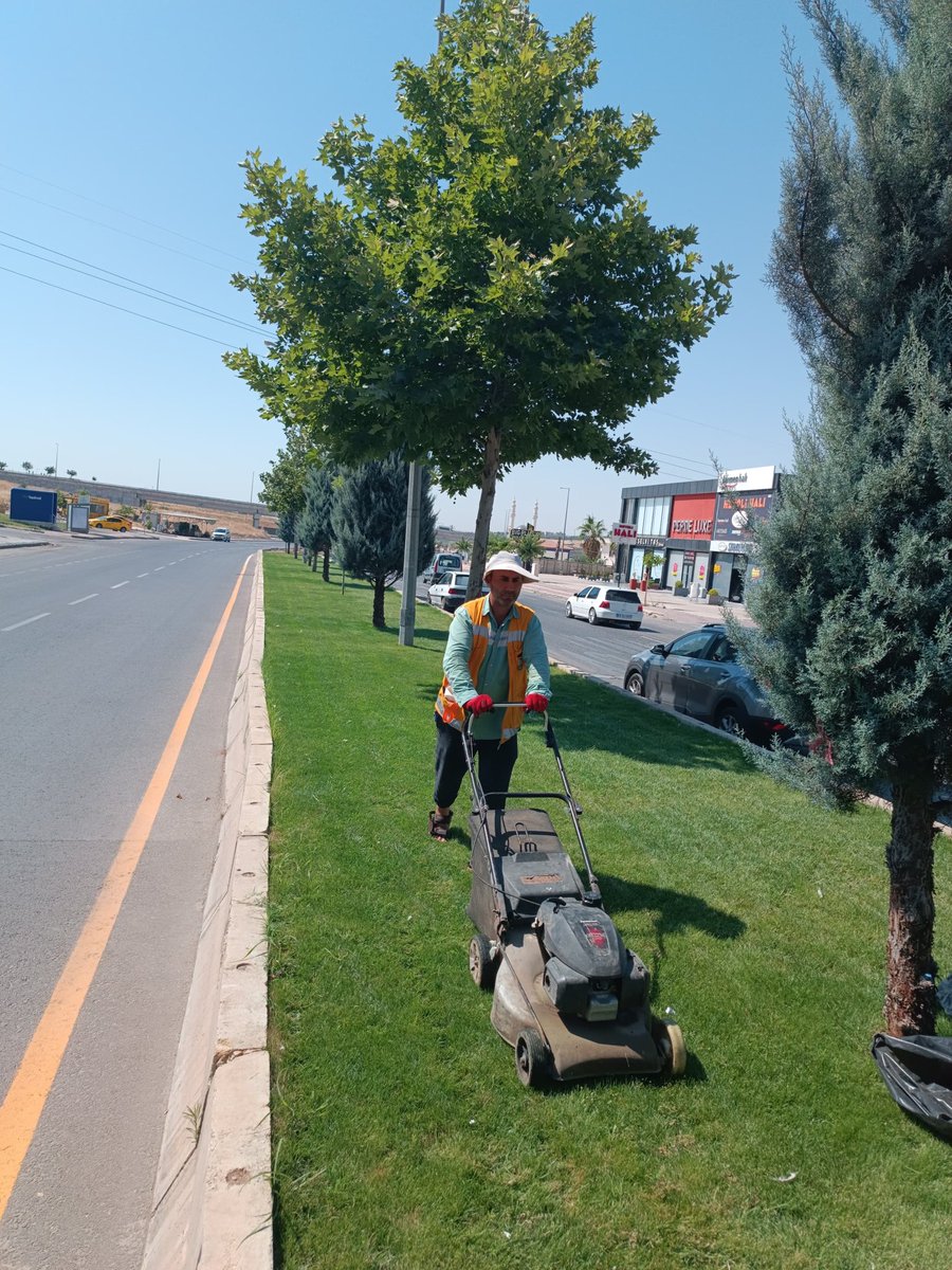 SbbPark's tweet photo. Park ve Bahçeler Dairesi Başkanlığına bağlı ekiplerimiz;👷🚧👷

Tüm alanlarımızda çim biçme çalışmalarını hız kesmeden sürdürmektedir.🌿

#YeşilŞehirŞanlıurfa 

@sanliurfabld 
@MithatCanKutluc 
@halilaldeniz_ 
@sukrukaracads 
@mesuthicri 
@musadokuz_ https://t.co/leun9WMxyG