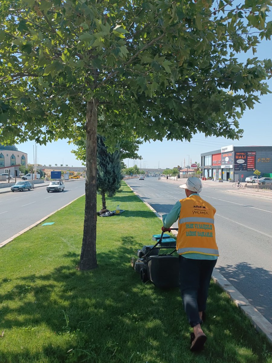 SbbPark's tweet photo. Park ve Bahçeler Dairesi Başkanlığına bağlı ekiplerimiz;👷🚧👷

Tüm alanlarımızda çim biçme çalışmalarını hız kesmeden sürdürmektedir.🌿

#YeşilŞehirŞanlıurfa 

@sanliurfabld 
@MithatCanKutluc 
@halilaldeniz_ 
@sukrukaracads 
@mesuthicri 
@musadokuz_ https://t.co/leun9WMxyG