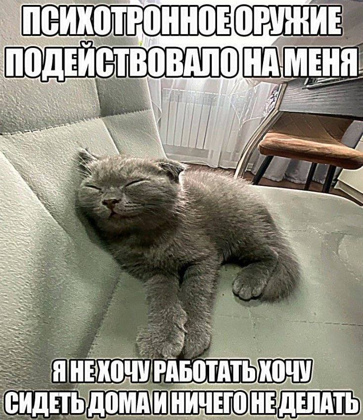Nickro666's tweet photo. https://t.co/1MasFlBXJl