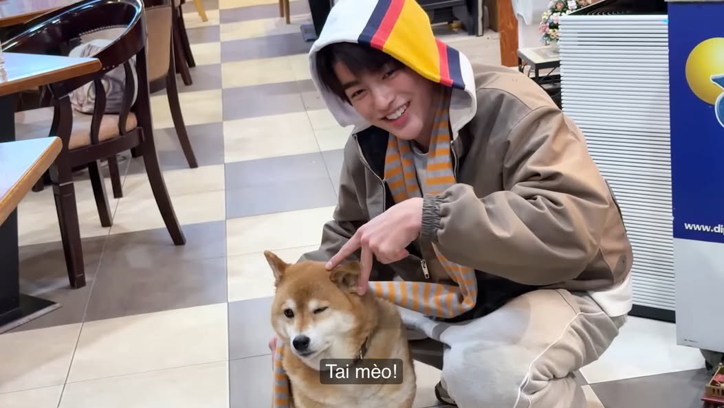 🐶 Miu tweet media