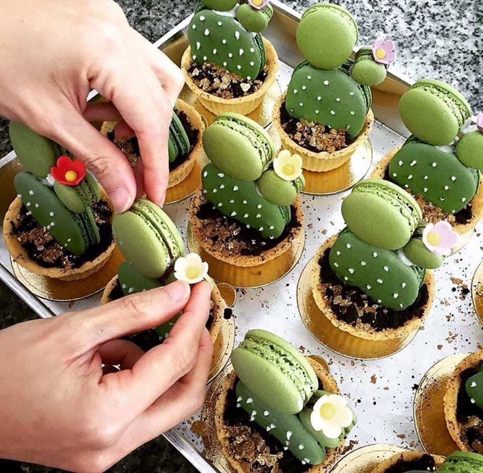 sweetxdessert's tweet photo. 🌵 tarts https://t.co/0ABDZLMqlB