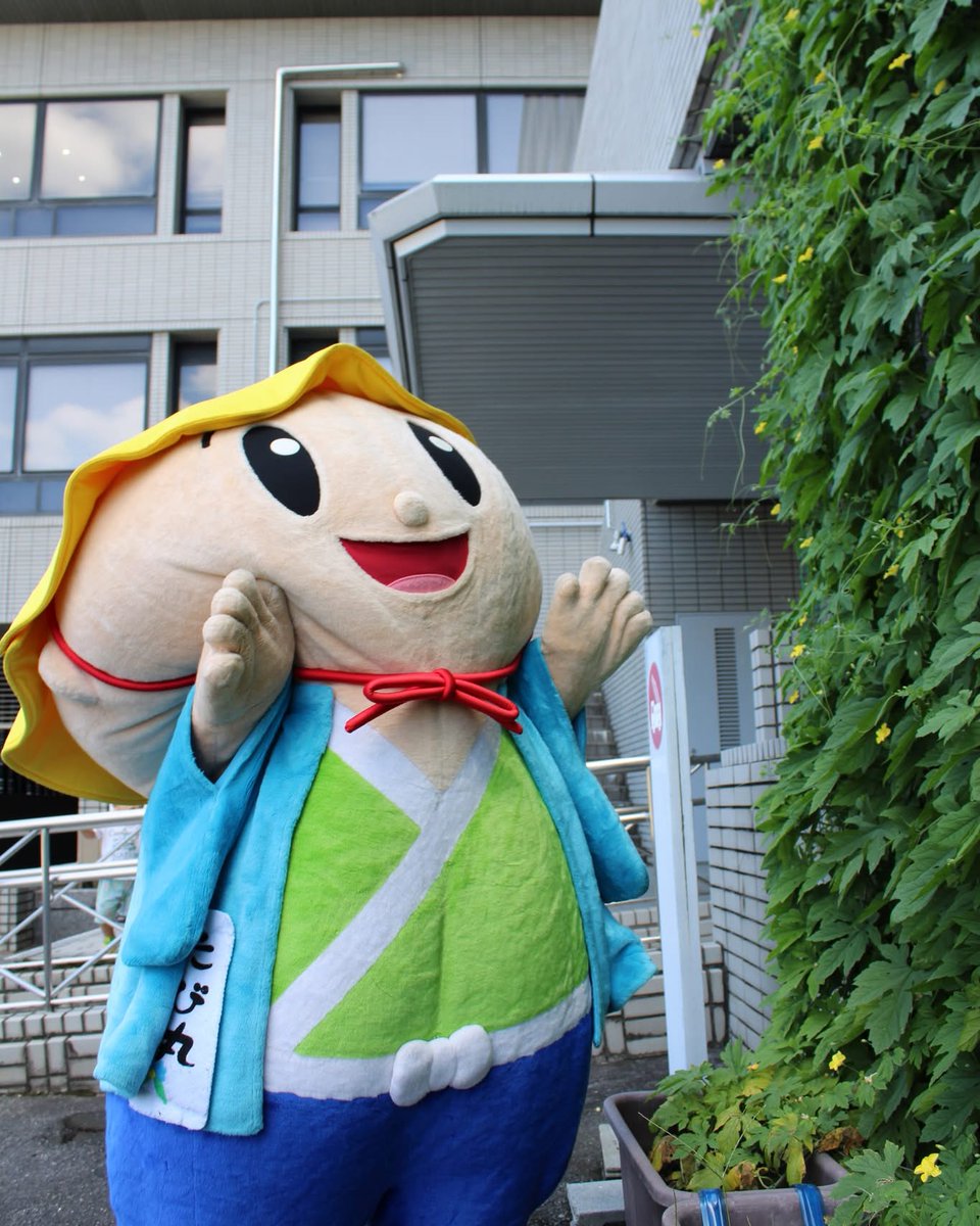 tabimaru_kst's tweet photo. 草津市では、温暖化防止活動の一つとして、ゴーヤーカーテンの普及を目指しているたび。高くのびたゴーヤーの緑のカーテンは、夏の日差しをさえぎり節電にもなるし、実がなったら食べられるたび！
ぜひ、やってみてほしいたび！
#暑すぎる夏を終わらせる
#世界ご当地キャラグランプリ
#たび丸　#草津市 https://t.co/tDVsi2a4jd
