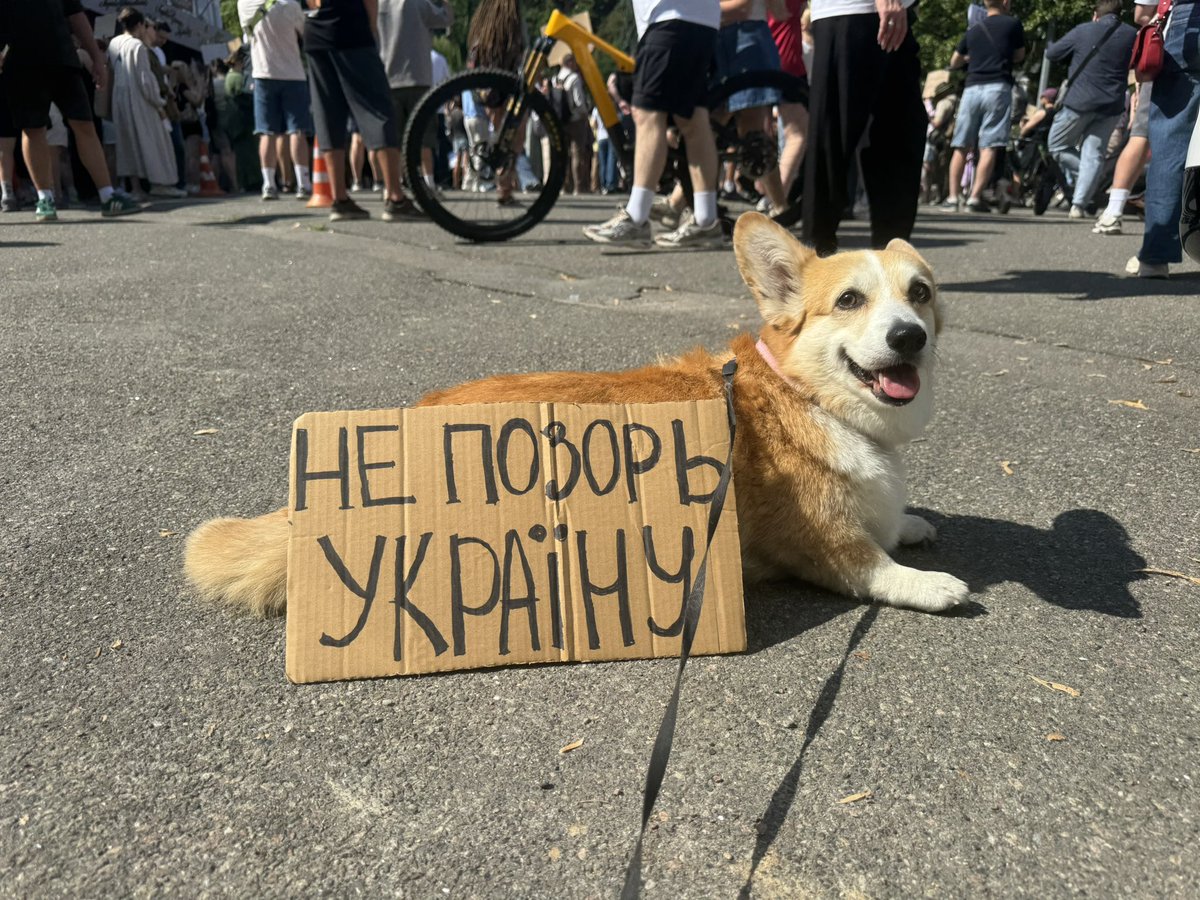 hamulator's tweet photo. Прибирай Сирського https://t.co/DKzGVE5SQD