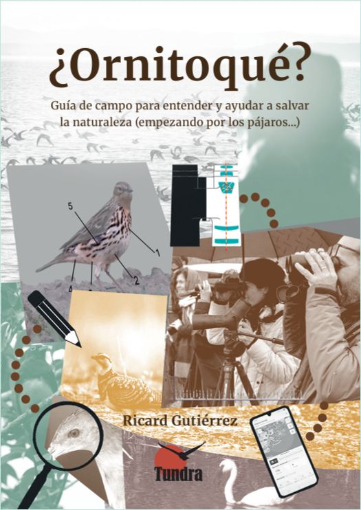 ArdeolaJournal's tweet photo. 📚¡No olvides meter en tu maleta alguna de las fascinantes recomendaciones de libros sobre #ornitología que te proponemos en el volumen de julio de #Ardeola! Con cuál te quedas?

🤓Don't forget to add some of the our book recommendations on #ornithology to your holidays suitcase! https://t.co/lZT9XwUQEQ
