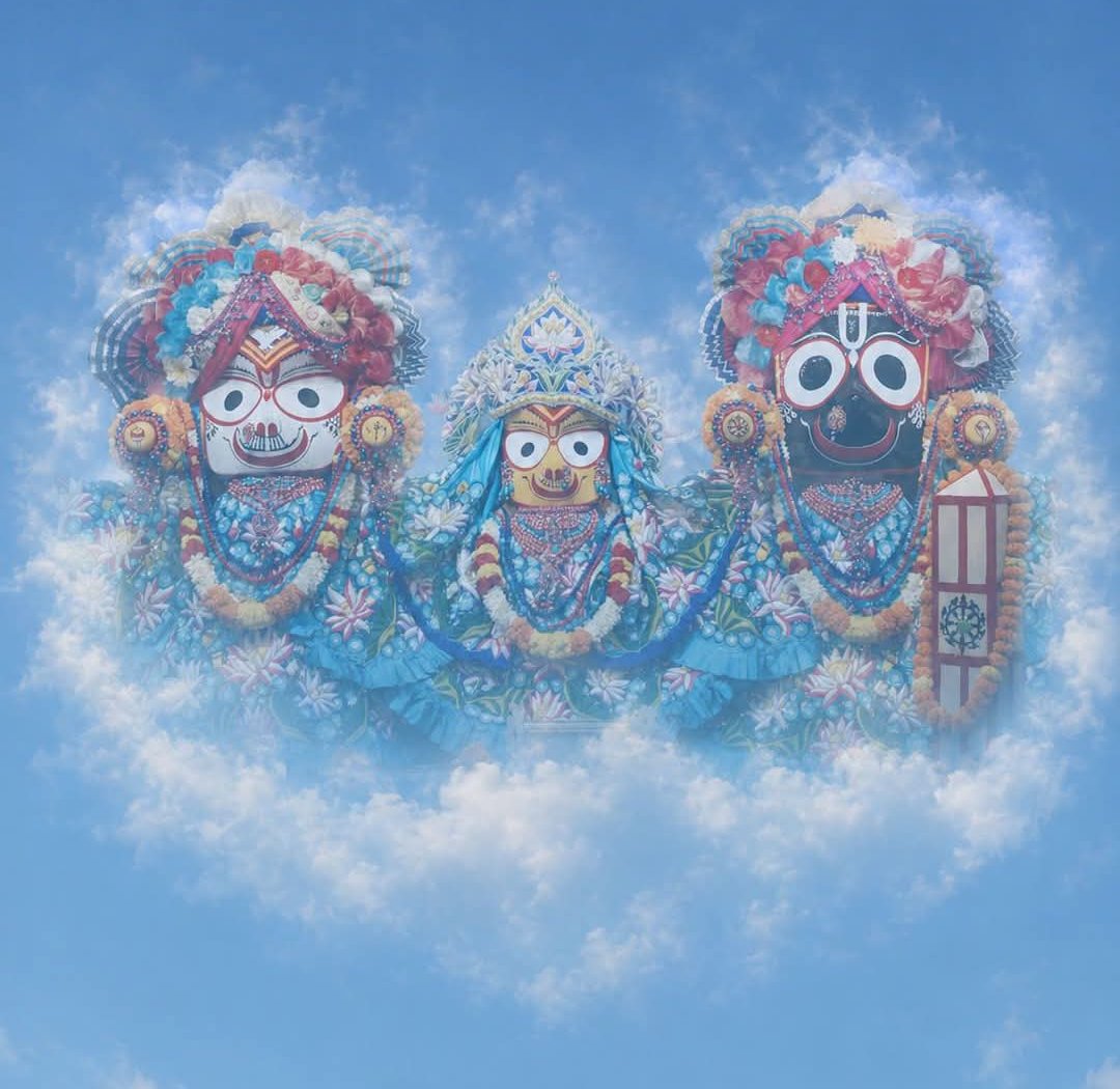 ranjita_ro57444's tweet photo. শুভ রথযাত্রা 🙏
#RathYatra https://t.co/ywqTMAp6W6